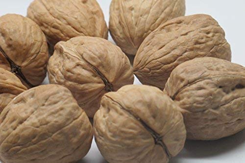 Walnuts Current new crop In shell Hartley choice Low-Carb High-Protein Unshelled Fresh Easy to crack Healthy snack Dietetic Vegan Packed in 5 lbs. (80 oz) box by Presto Sales