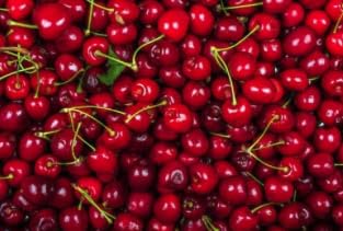 Civara Organic Cherry Powder 6oz &amp 12oz | 100% Natural Fruit Powder | No Sugar &amp Additives | Great Flavor for Drinks Smoothie Beverages | USDA Organic | Vegan | Gluten Free (6 Ounces)