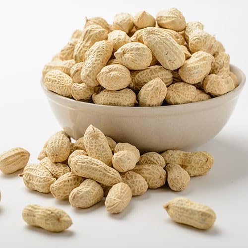 Gurley's Premium Peanuts In-Shell Fire Roasted &amp Salted In Shell Peanut Bulk Party Pack 10 lb Box – Dry Roasted Peanuts Salty Snack for Events &amp Gatherings