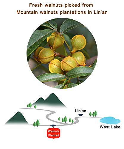 Chinese Peeled WalnutsFresh New Linan Mountain Walnut kernelsLinan Mountain Walnuts KernelsNet 240g/8.5oz. in 15 Small Packets 临安山核桃仁 (Salty)