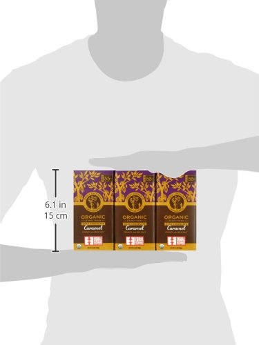 Equal Exchange Organic Chocolate Caramel Crunch with Sea Salt 2.8-Ounce (Pack of 6)