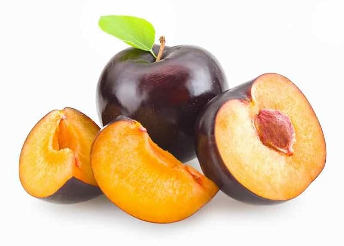 Neotea Fresh Black Berries Plum Dry Fruit 200 gm