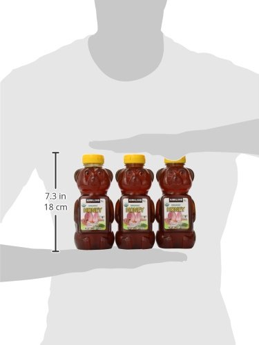 Kirkland Signature 100% U.S. Grade A Organic Honey 4.5 Pound