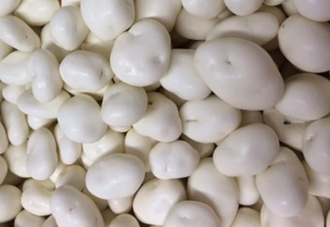 Bayside Candy Yogurt Covered Raisins | Yogurt Coated Raisins (3LB)