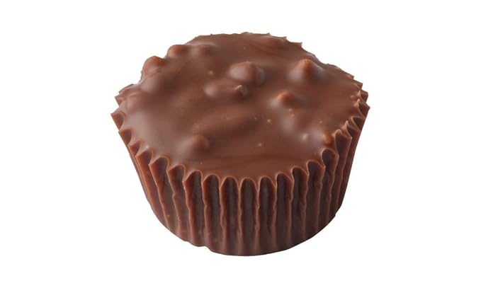 Vermont Nut Free Chocolates Boxed Chocolates (Grand Assortment) 24-Piece Nut-Free Egg-Free Kosher