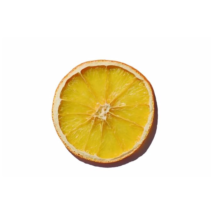 Dehydrated Orange Slices Citrus Immune Booster to infuse water cocktails garnishSelf Care Wedding/Fall/Holiday Decor - 65 slices