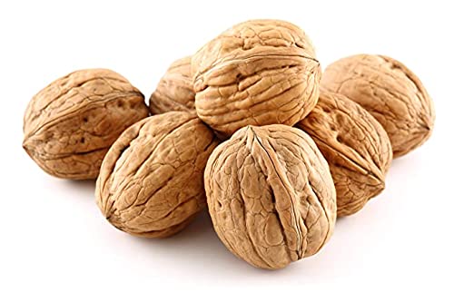 Anna and Sarah Walnuts in Shell Jumbo Fresh Buttery Taste Easy to Crack California Chandler Natural Shells Not Bleached in Box (9 Lbs)