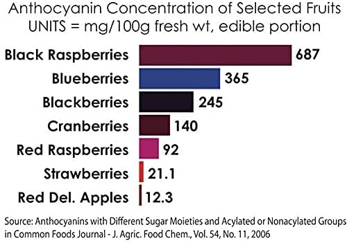 BerriHealth 100% Authentic Oregon Black Raspberry Extract - Made in The USA - 100 Grams - Gluten-Free Vegan Non-GMO