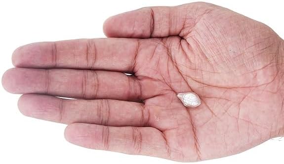 Silver Nariyal for Pooja - 1 Gram