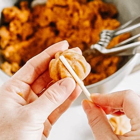 Bake Eat Love Pumpkin Cake Pops Baking Kit Pre-measured Ingredients with Pumpkin Puree Portion Scoop Instructions Makes 12-20 Servings Fall Dessert