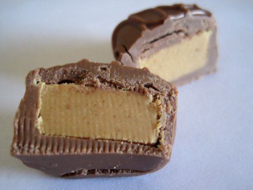 Philadelphia Candies Milk Chocolate Peanut Butter Truffles Net Wt 1 lb