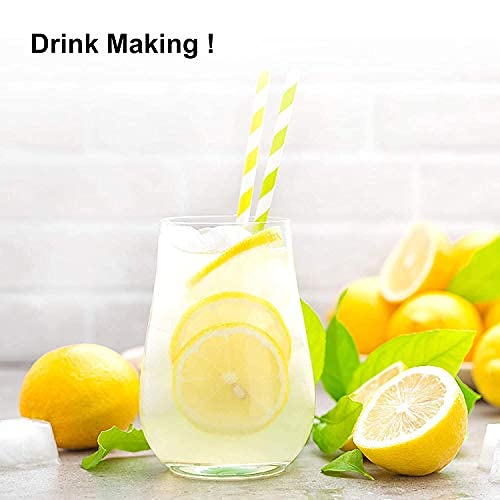 (1.1lbs) Dried Lemon Slices Lemon Tea Sour and Refreshing Citrus Sugar Free Vegan &amp Kosher 500g (17.6)