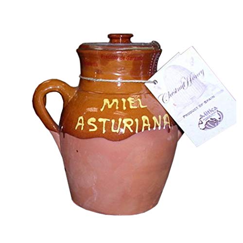 Chestnut Honey 1.1 Lb - Rich Earthy and Spicy Premium Honey for Gourmet Cooking Perfect Pairing with Strong Cheeses and Game Meats