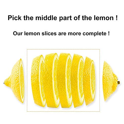 (1.1lbs) Dried Lemon Slices Lemon Tea Sour and Refreshing Citrus Sugar Free Vegan &amp Kosher 500g (17.6)