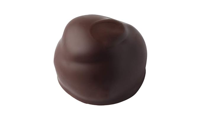 Vermont Nut Free Chocolates Boxed Chocolates (Grand Assortment) 24-Piece Nut-Free Egg-Free Kosher