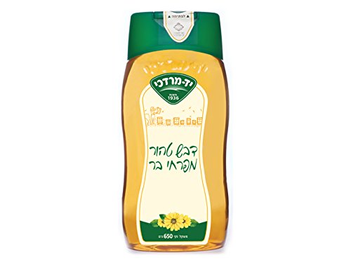 Kosher 100% Pure honey from wild flowers - squeeze bottle 22.9 oz (650 gram) (22)