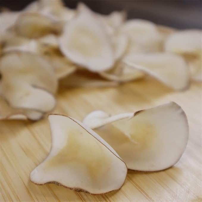Royal Seafood USA Dried Sea Coconut Slices 225g Premium selected Natural Sulfur-freefor soup 原色海底椰 不含硫 纯天然 止咳润肺美容养颜