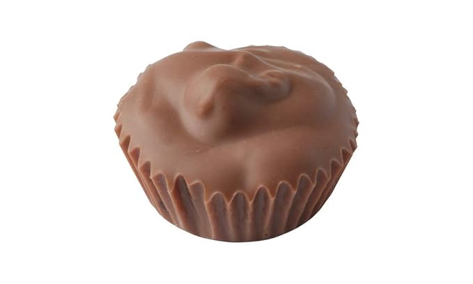 Vermont Nut Free Chocolates Boxed Chocolates (Grand Assortment) 24-Piece Nut-Free Egg-Free Kosher