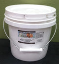 Northwestern Blackberry Blossom Honey 1 Gallon Organic Superfood All-Natural Sustainably Sourced Central Oregon