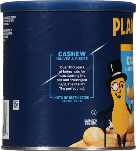 PLANTERS Salted Cashew Halves &amp Pieces Party Snacks Plant-Based Protein 14 Oz Canister (Pack of 2)
