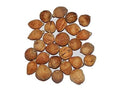 Puja Laghu Nariyal Coconut Dried Coconut Dry Coconut (22 pieces laghu nariyal for Pooja home and temple)
