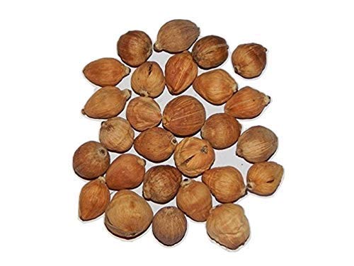 Puja Laghu Nariyal Coconut Dried Coconut Dry Coconut (22 pieces laghu nariyal for Pooja home and temple)