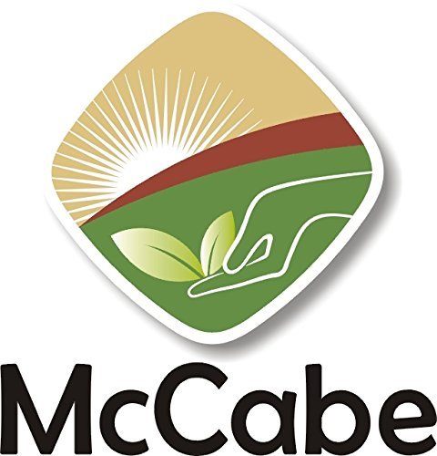 McCabe Organic Thick Rolled Oats - Extra Thick Rolled Oats | Rich with Fiber &amp Minerals | USDA and CCOF Certified | Product of USA | 2Lbs | Pack of 3.