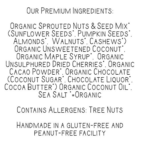 Lark Ellen Farm Cacao Cherry Grain-Free Granola Clusters Organic Vegan Nut and Seed Mix Gluten-Free Crunchy Bites for Snack Breakfast or Yogurt 8 oz 3 Pack