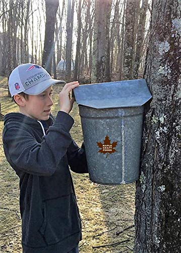 Salted Caramel Maple Craft Syrup | Delicious All Natural Topping Sweetener &amp Ingredient | Enjoyed By All Ages | Great Gift Item | 6.8oz. (200mL) (Pack of 2)