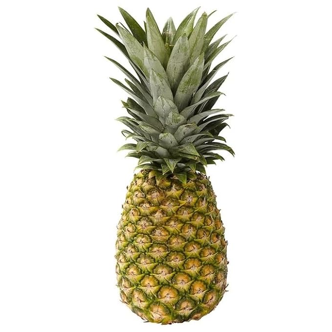 Golden Pineapple High in vitamin C for added benefits Sourced from USA Costa Rica Guatemala or Honduras 2 count