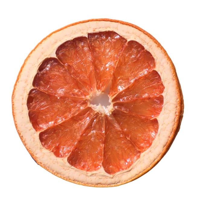 Dehydrated Grapefruit Slices Citrus Immune Booster to infuse water cocktails garnishSelf Care Wedding/Fall/Holiday Decor - 40 slices