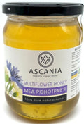 Ascania Honey 100% Pure Natural Glass Jar 22.9 oz / 650 gr Product of Ukraine (1 Pack Multiflower)