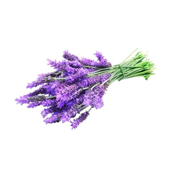 OliveNation Edible Lavender Oil for Cooking and Baking Essential Oil from Natural Flavors Non-GMO Gluten Free Kosher Vegan - 16 fluid ounces