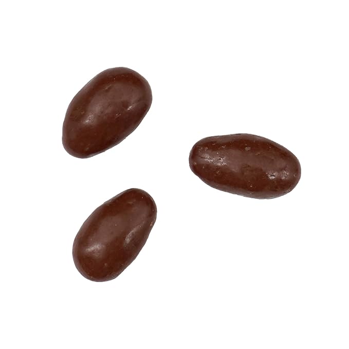 Milk Chocolate Covered Almonds 1 Pound Bulk Bag Chocolate Covered Nuts The Hampton Popcorn &amp Candy Company