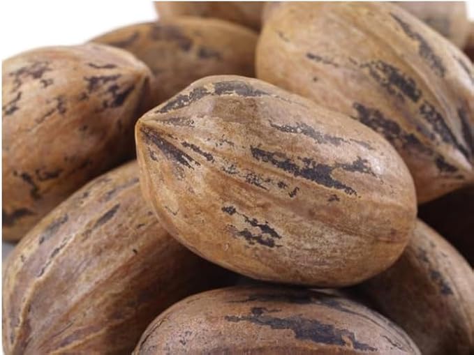 Nuts.com Pecans in Shell 1 Lb &amp Whole Walnuts in Shell 2 Lb – Fresh Unshelled Nuts Naturally Sweet &amp Buttery Flavor Good Source of Protein &amp Fiber