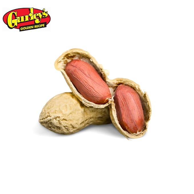 Gurley's Premium Peanuts In-Shell Fire Roasted &amp Salted In Shell Peanut Bulk Party Pack 10 lb Box – Dry Roasted Peanuts Salty Snack for Events &amp Gatherings