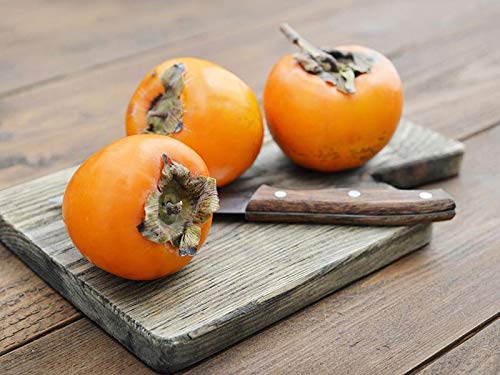 Sun Dried Persimmons Organic Japanese Hand Massaged Hoshigaki 1 lb