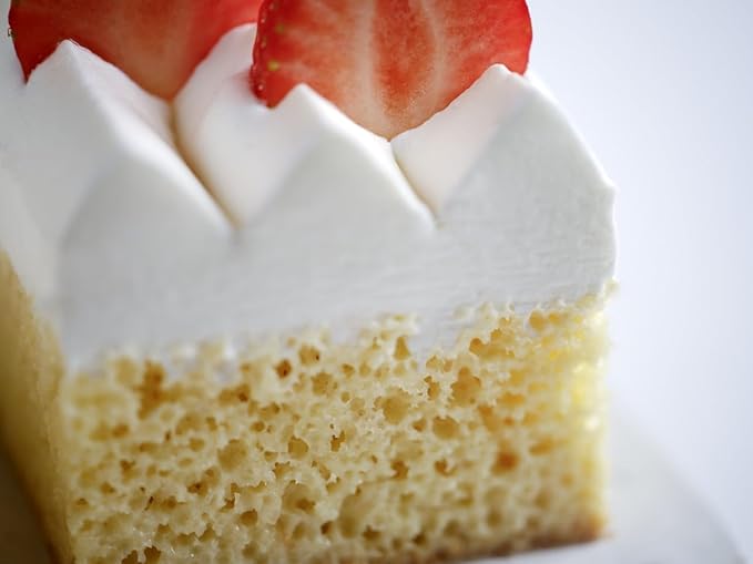 Tegral Dulcerio Sponge Cake Mix Bag 40#