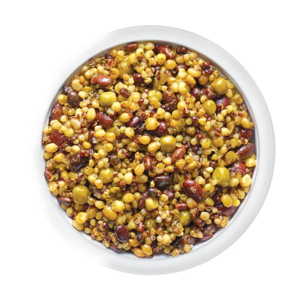 Tasty Bite Indian Protein Bowl 8.8 Ounce Pack of 6 Ready to Eat Microwaveable Vegan 12 Grams Plant Protein