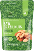 Brazil Nuts Raw 16oz. Premium Brazilian Nuts Raw Brazil Nuts Unsalted Ideal for Snacking &amp Baking Fresh and Crunchy Brazil Nuts Bulk Sustainably Harvested Shelled Brazil Nuts Whole 1LB
