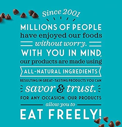 Enjoy Life Semi-sweet Chocolate Mini Chips 10 Ounce Pack of 2
