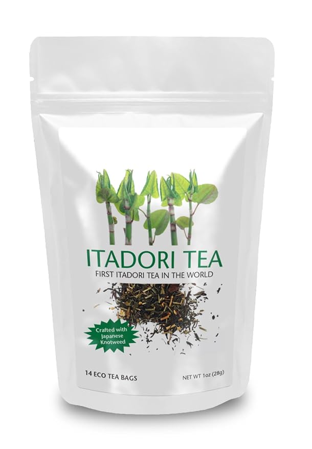 Itadori Tea - Organic Black Tea With Japanese Knotweed For Resveratrol &amp Immune Support Antioxidant-Rich All-Natural Ingredients 14 Tea Bags for Holistic Wellness
