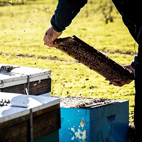 Tasmanian Leatherwood RAW HONEY | 4.4 Pounds | Pure | Unheated | Unfiltered | Unpasteurized | Hand-Crafted | Product of Australia | Bio-Active Compounds |