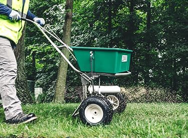 Lesco All-Pro Transition Tall Fescue Grass Seed Blend (50 lbs) – Drought-Tolerant Heat &amp Shade Resistant Insect-Resistant Lawn Seed for Durable Turf