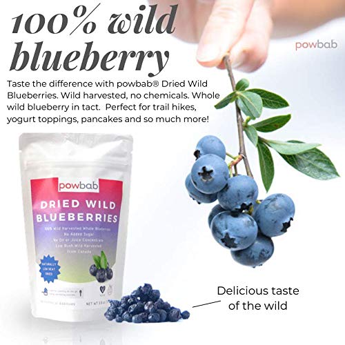 powbab Dried Wild Blueberries. 100% Whole Dried Blueberries No Sugar Added. No Sunflower Oil No Apple Juice Concentrate. Canada Grown. No Sulfites. Unsweetened Blueberries Keto. Gluten Free Vegan.