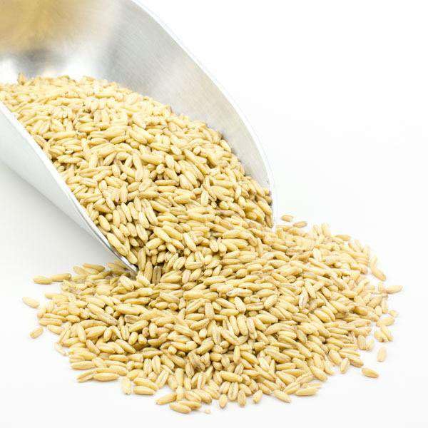 Grain Millers Organic Whole Oat Groats Non-GMO Whole Grain Bulk Delicious Cereal Grain High in Dietary Fiber and Protein 25 lb