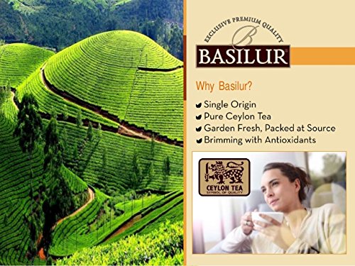 Basilur Pure Ceylon Black Loose Tea with Ginger Included Filter and Real Bits of Ginger Throat Therapy Single Origin Tea 100g (3.5 oz.) Tin Caddy Pack of 2