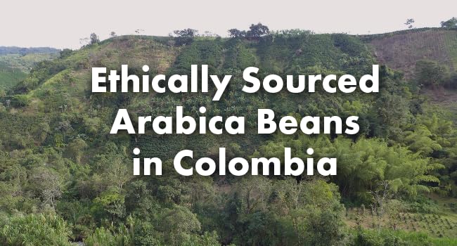 Café Grumpy Coffee - Colombia Whole Beans Arabica 12oz Bag Single Origin Medium Roast Drip French Press Pour Over Cold Brew (Whole Beans)