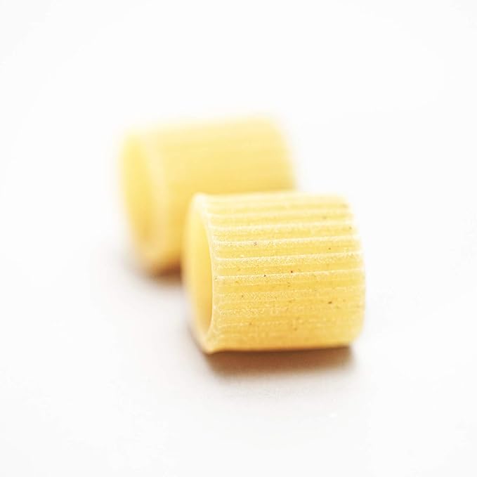 Mancini Pastificio Agricolo Pasta Mancini Handy Mini Gift Box - Includes Mezze ManicheFusilli LunghiSpaghetti and Spaghettoni Quadrati