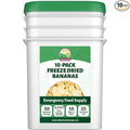 Valley Food Storage Freeze Dried Banana Slices | 10-Bag Bucket 53 oz | Non-GMO Premium Emergency Food Supply 25 Year Shelf Life | Prepper Supplies Survival Food &amp Off-Grid Living | Packaged in